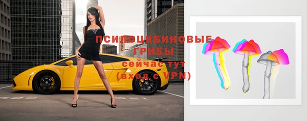 PSILOCYBIN Гусев