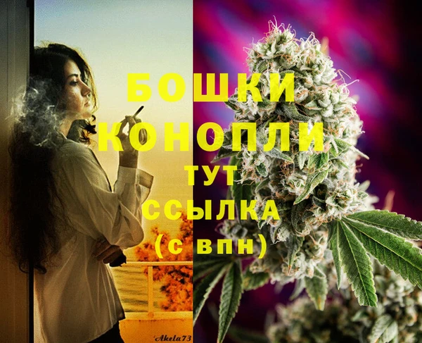 первитин Гусиноозёрск