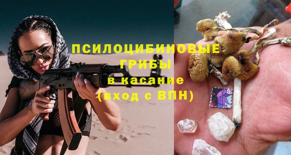 PSILOCYBIN Гусев