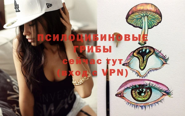 PSILOCYBIN Гусев