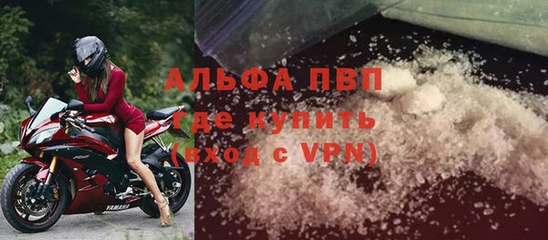 PSILOCYBIN Гусев