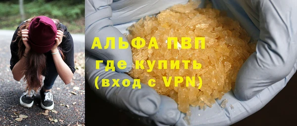 PSILOCYBIN Гусев