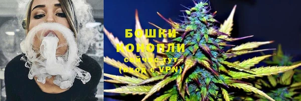 PSILOCYBIN Гусев